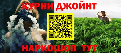 дживик Кингисепп