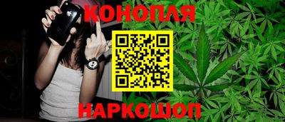 дживик Кингисепп