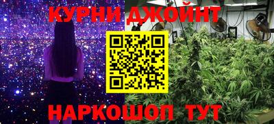мдпв Кимры