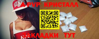дживик Кингисепп