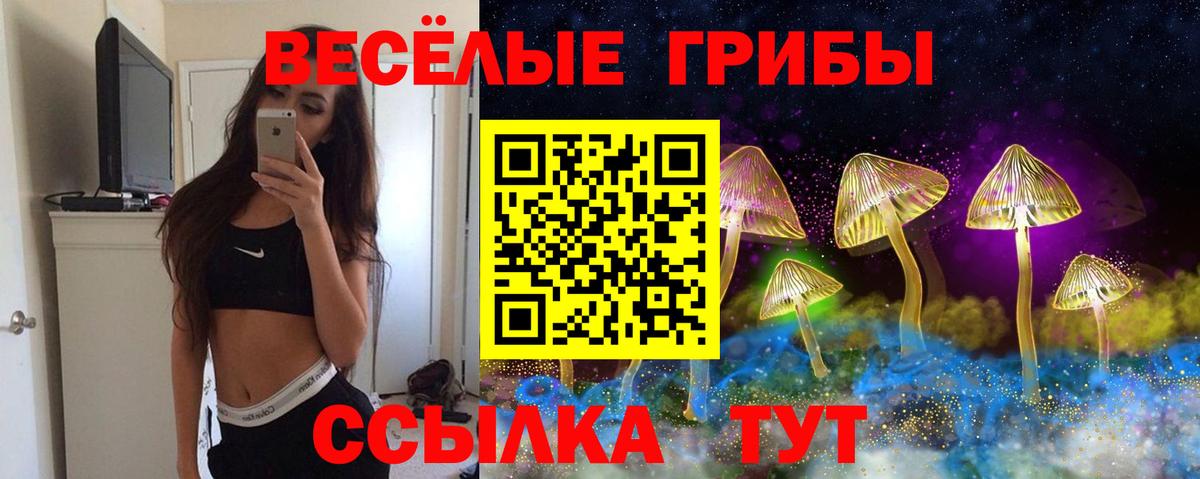 Галлюциногенные грибы GOLDEN TEACHER Химки