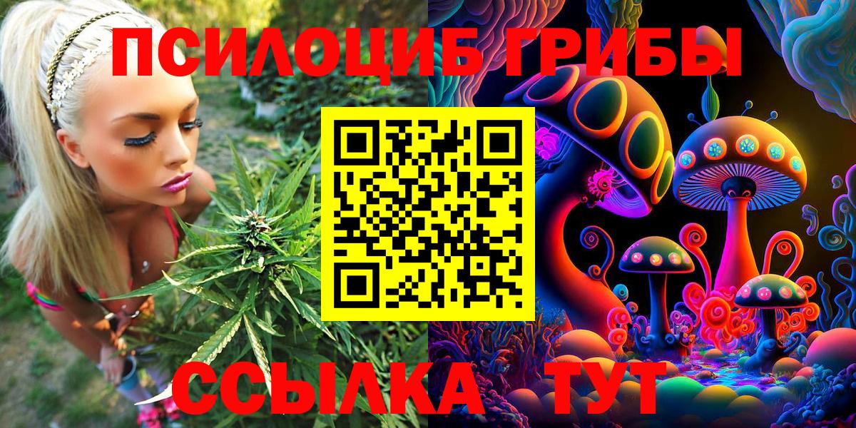 Химки  Псилоцибиновые грибы GOLDEN TEACHER  Вход с VPN 